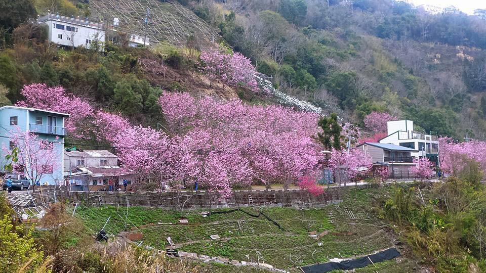 La La Shan 5.5Knong Zhuang Hualing 외부 사진