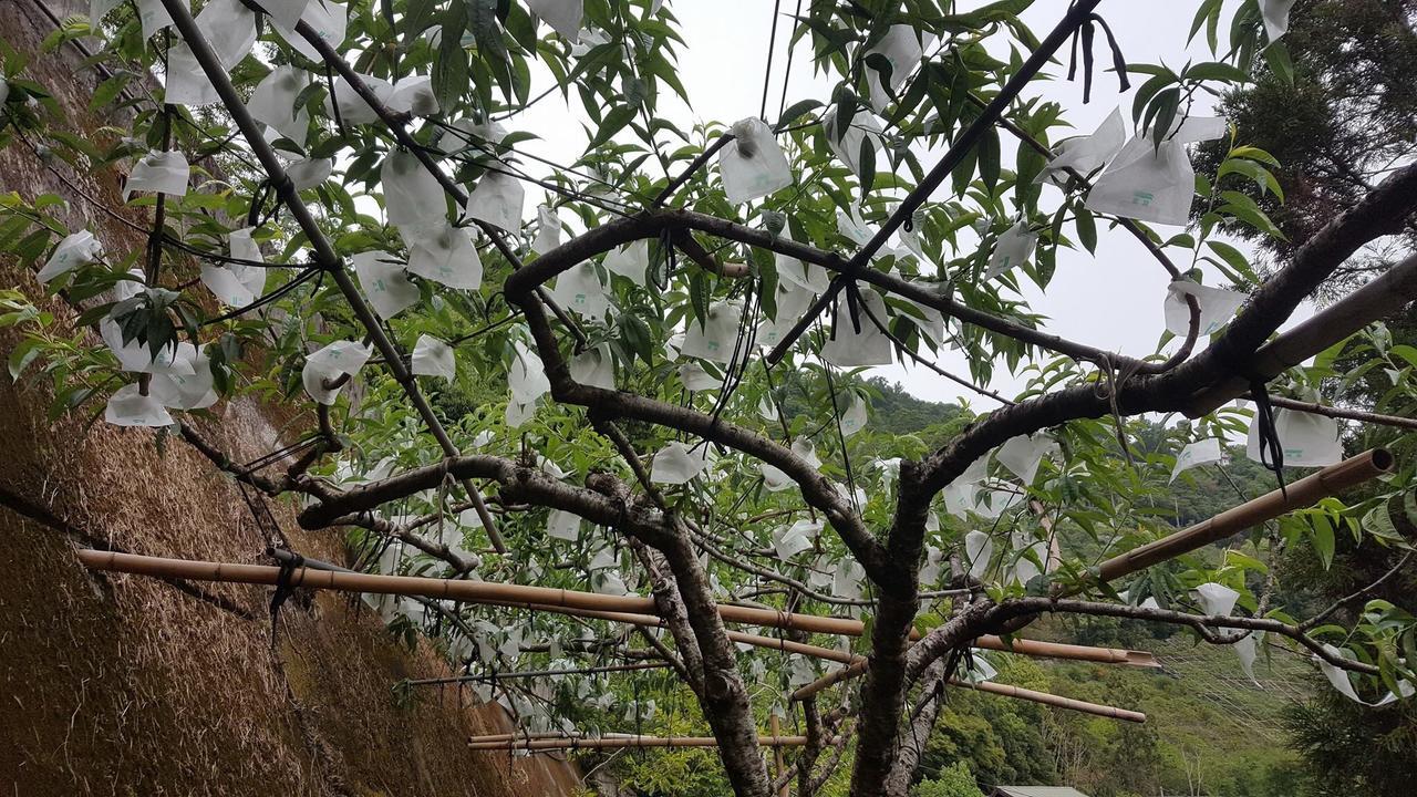 La La Shan 5.5Knong Zhuang Hualing 외부 사진